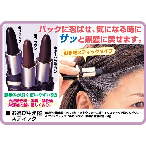 あをにょし 白髪染め ポーチタイプ 3個セット 3個セット サロンドプロ 白髪染め 泡のヘアカラー EX メンズスピーディ