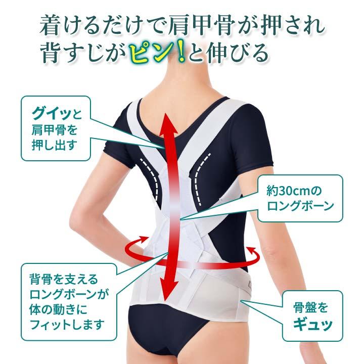 サポーター 背筋 背骨 骨盤 メンズ レディース 姿勢矯正ベルト 男女