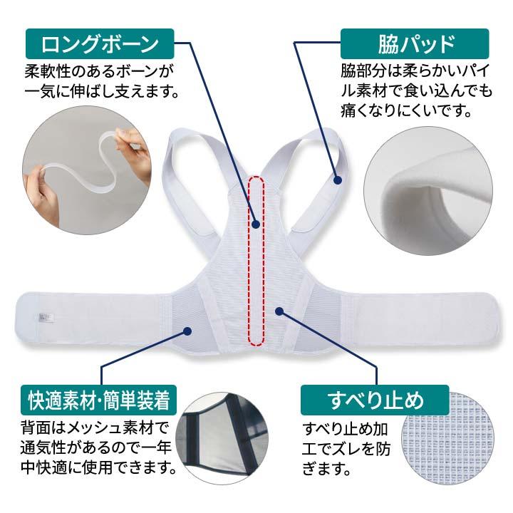 お医者さんの®がっちり背すじベルト サポーター 背筋 背骨