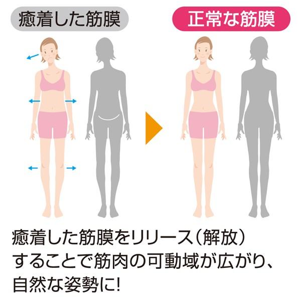 運動 筋トレ 筋膜リリース 美容ローラー ダイエット 器具 びれ エクササイズ シェイプアップ セルフビューティローラー セルビー ジャストパートナー Yahoo 店 通販 Yahoo ショッピング