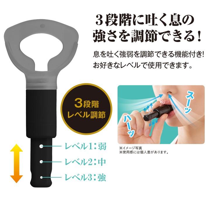 健康器具 トレーニング 肺活 肺トレ エクササイズ 簡単 手軽 呼吸筋 呼吸筋強化 運動不足 息切れ 声量不足 持久力向上 カラオケ スポーツ 肺活トレーナー ジャストパートナー Yahoo 店 通販 Yahoo ショッピング