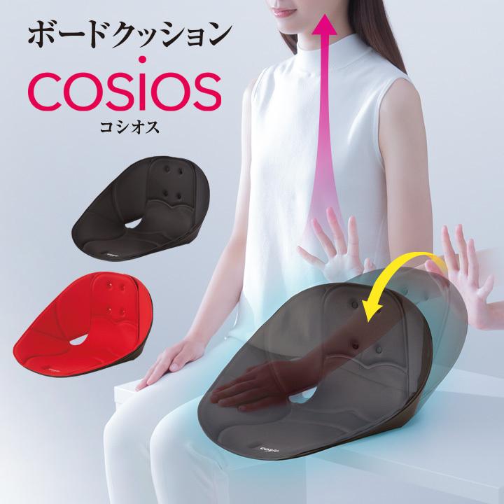 姿勢サポーター デスクワーク専用 男女兼用 クッション ボード型 腰を押す 姿勢サポート 骨盤が立つ テレワーク