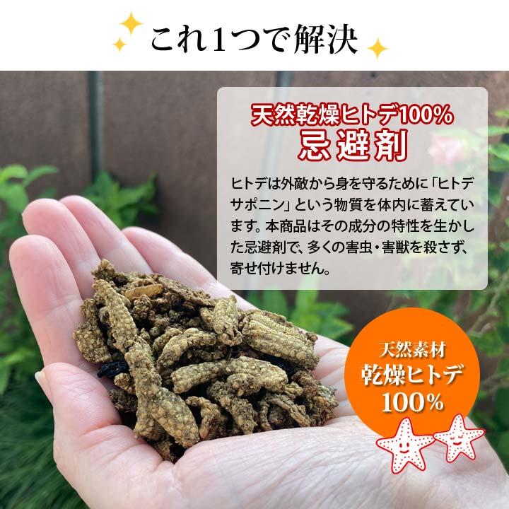 ヒトデ浪漫 天然成分100％ カメムシ 乾燥ヒトデ 害獣 害虫 忌避剤
