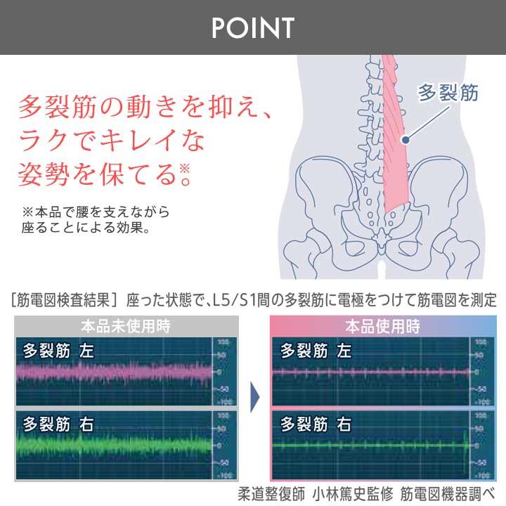 背もたれ 椅子 イス クッション 腰 背中 背筋 骨盤 姿勢 美姿勢 疲れにくい 負担軽減 在宅 テレワーク 勉強 オフィス ボディカルテ 腰楽座サポートプレート_9