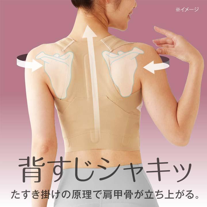 ピタ肌 健康 ボディケア 姿勢 猫背 反り腰 肩甲骨 肋骨 背筋 体幹リセット たすき掛けの原理 整形外科医監修 日本製 お医者さんの\u0026reg;体幹姿勢サポーターの画像