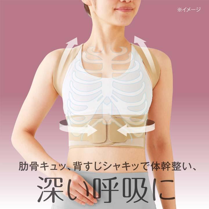 ピタ肌 健康 ボディケア 姿勢 猫背 反り腰 肩甲骨 肋骨 背筋 体幹リセット たすき掛けの原理 整形外科医監修 日本製 お医者さんの\u0026reg;体幹姿勢サポーターの画像