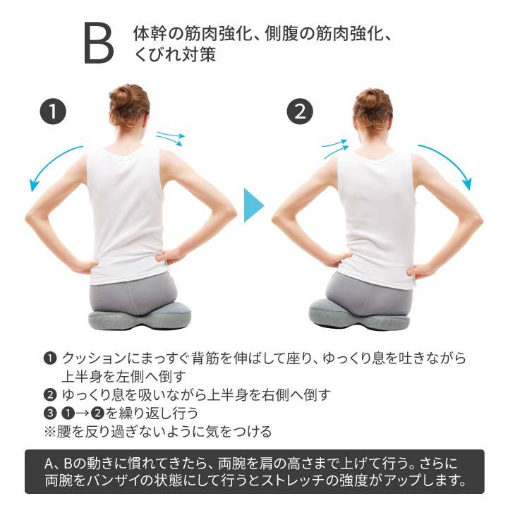 健康 ながらエクサ エアー クッション マルチクッション ストレッチ