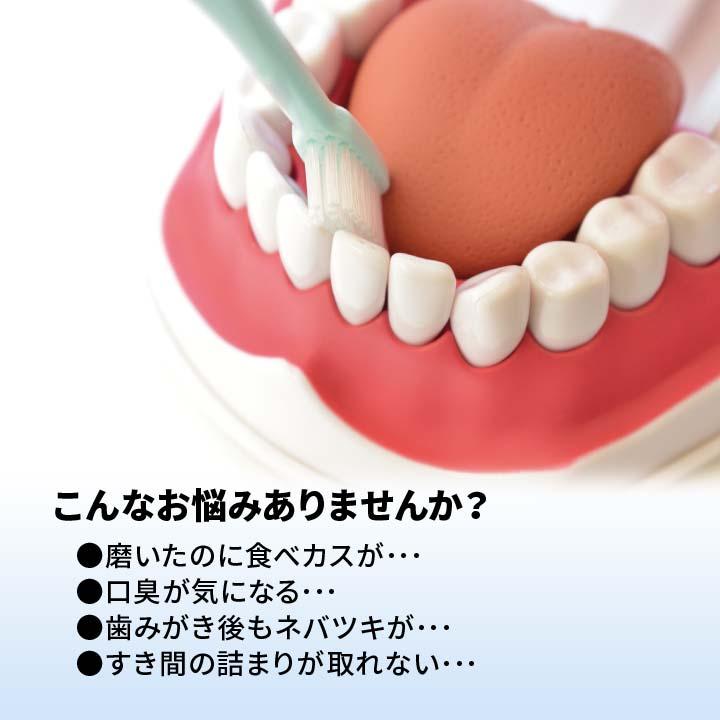 マウスウォッシャー ジェットウォッシャー 口腔洗浄機 口腔洗浄器 水流