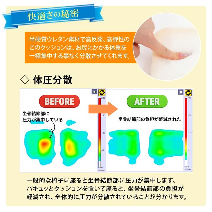 構造医学研究財団 体圧反応座板 姿勢を良くする 座布団 製品紹介
