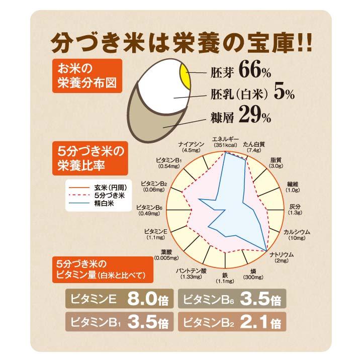 DOS-RP11 精米機 家庭用 米 玄米 白米 美味しい 無洗米 再精米 分づき