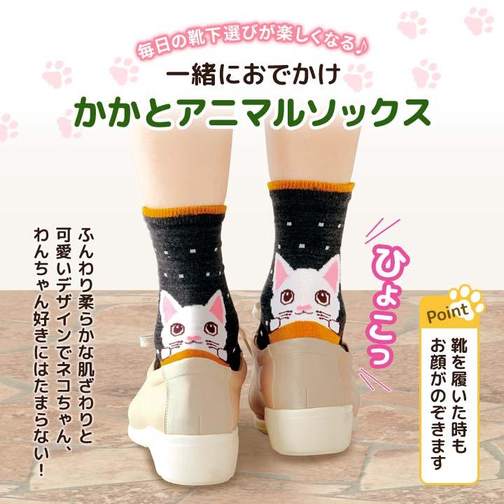レディース 靴下 くつ下 ネコちゃん わんちゃん 猫 犬 踵 見える