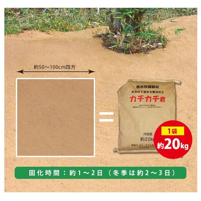カチカチくん　3個セット　すぐ使える！！ Amazon | 勝ち勝ちくん クリア スケルトン 小役カウンター カチカチ君
