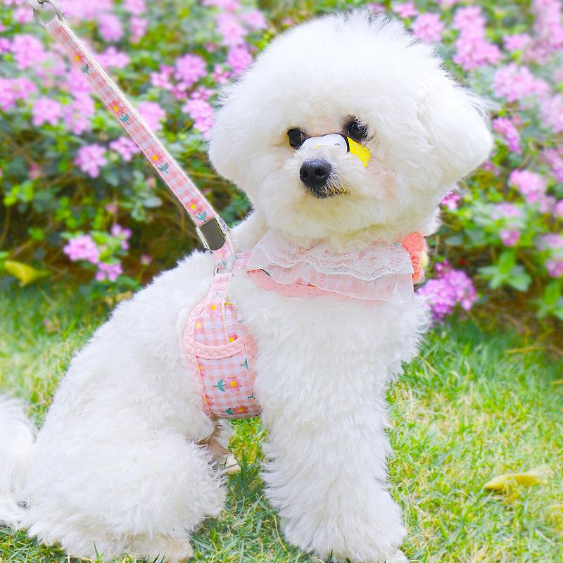 猫 首輪 ペット ハーネス 猫リード 犬 小型犬猫用 可愛い お花 フリル