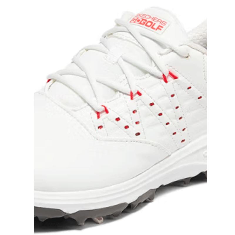 SKECHERS スケッチャーズ ゴルフシューズ レディース ダイヤル式 SKECHERS スケッチャーズ ゴルフシューズ レディース ダイヤル式