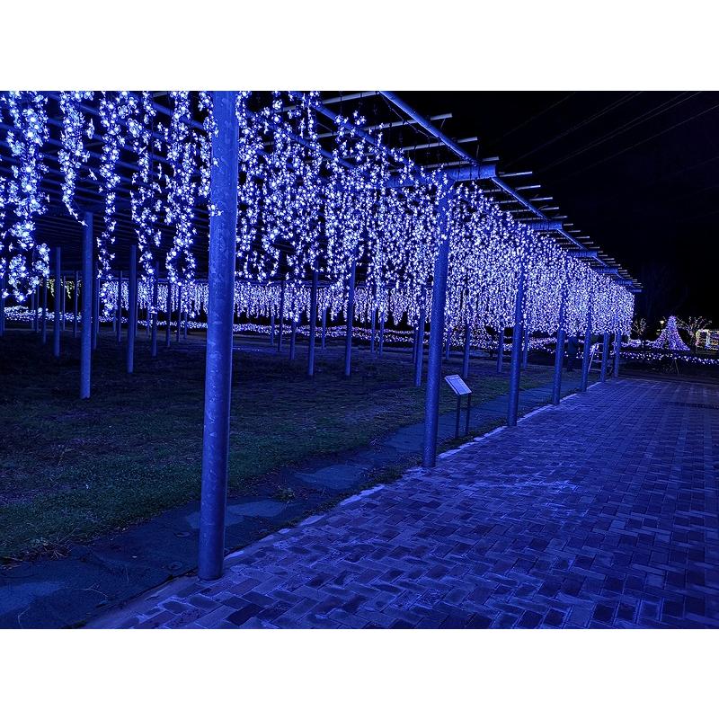 コロナ産業 藤棚ライト327球（青みかかった白色LED）常点灯 藤の花