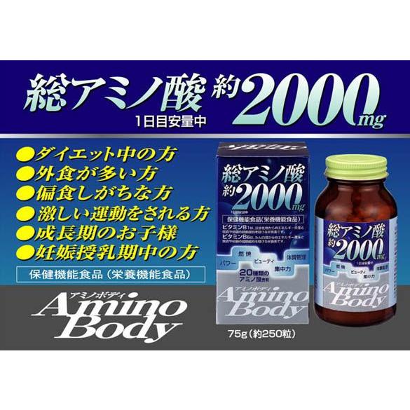アミノ酸 サプリメント 500粒 6袋セット spai7762_1.jpg