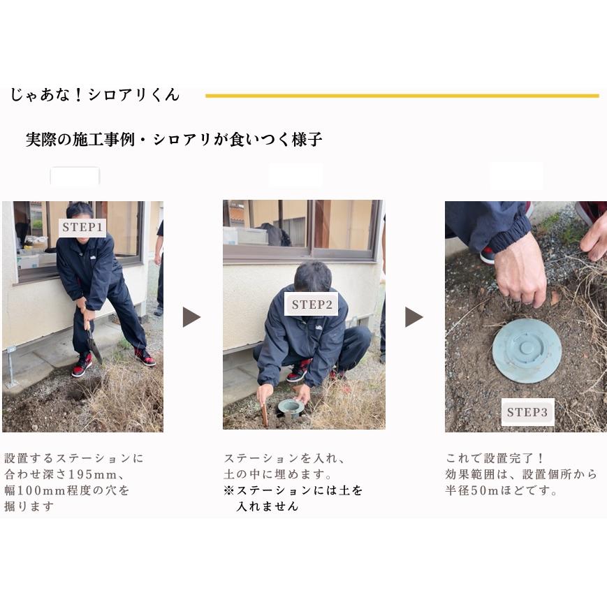 じゃあな！シロアリくん』ステーション(容器)に2本の木(餌木とベント剤