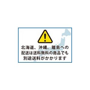 ノーリツ　100延長給排気管セットA　0500888