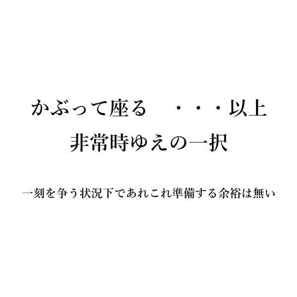 Em-Shelter II エム・シェルター２ ２〜４人用 ツェルト Juza Field Gear（ジュウザ・フィールドギア） |  | 01