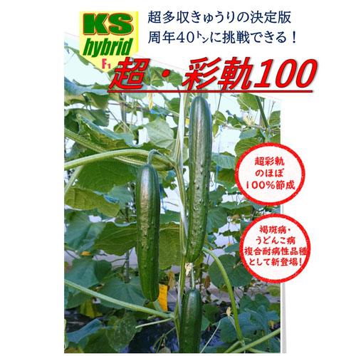 超彩軌100 350粒 胡瓜 キュウリ きゅうり【朝日アグリア 種 たね タネ 】【【通常5倍 5のつく日はポイント10倍】】 | 