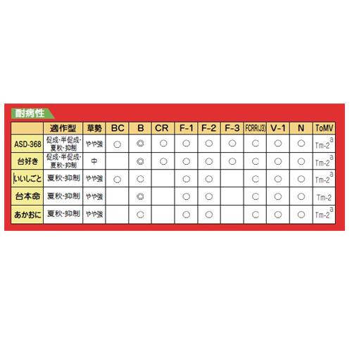 あかおに 1000粒 トマト台木 トマトダイギ とまとだいぎ【朝日アグリア 種 たね タネ 】【通常5倍 5のつく日はポイント10倍】 | 