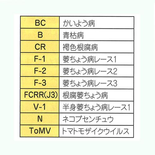 あかおに 1000粒 トマト台木 トマトダイギ とまとだいぎ【朝日アグリア 種 たね タネ 】【通常5倍 5のつく日はポイント10倍】 |  | 01