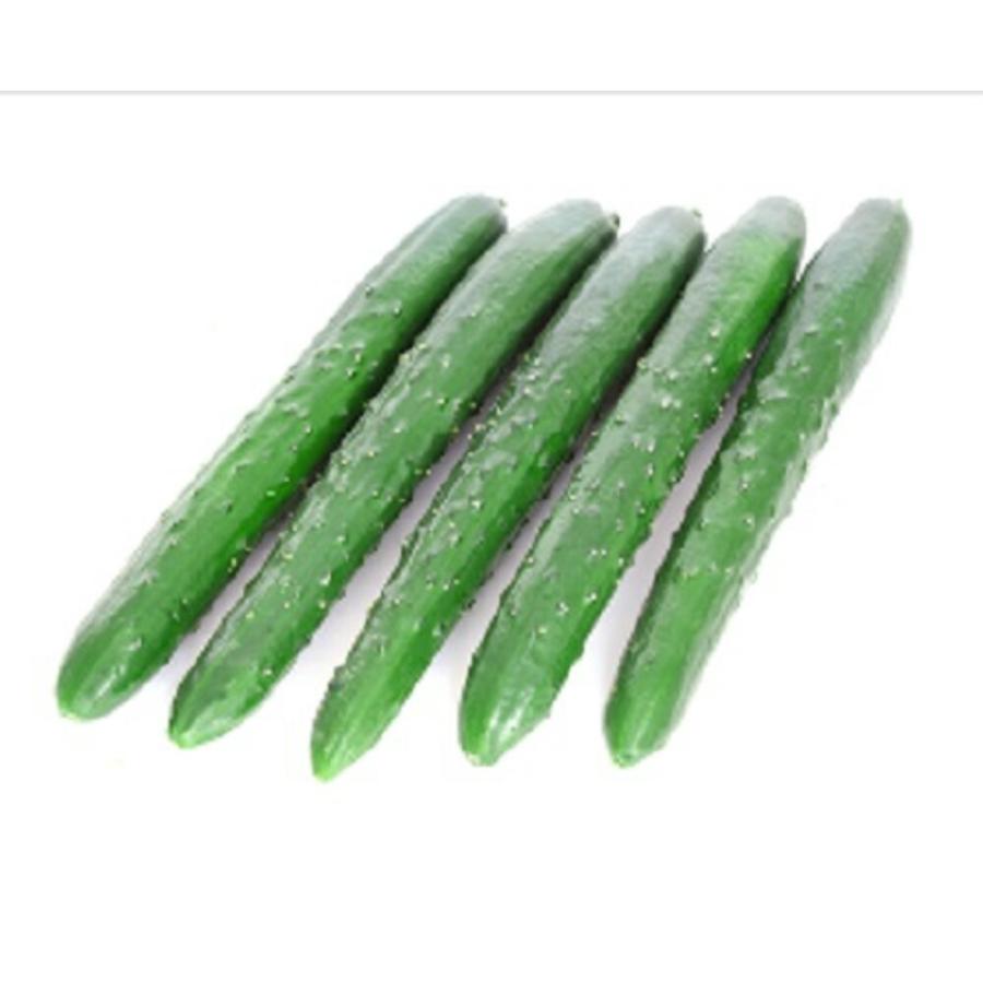 グラッチェ1号 350粒 胡瓜 キュウリ きゅうりグラッチェ1号 350粒【朝日アグリア 種 たね タネ 】【【通常5倍 5のつく日はポイント10倍】】 | 