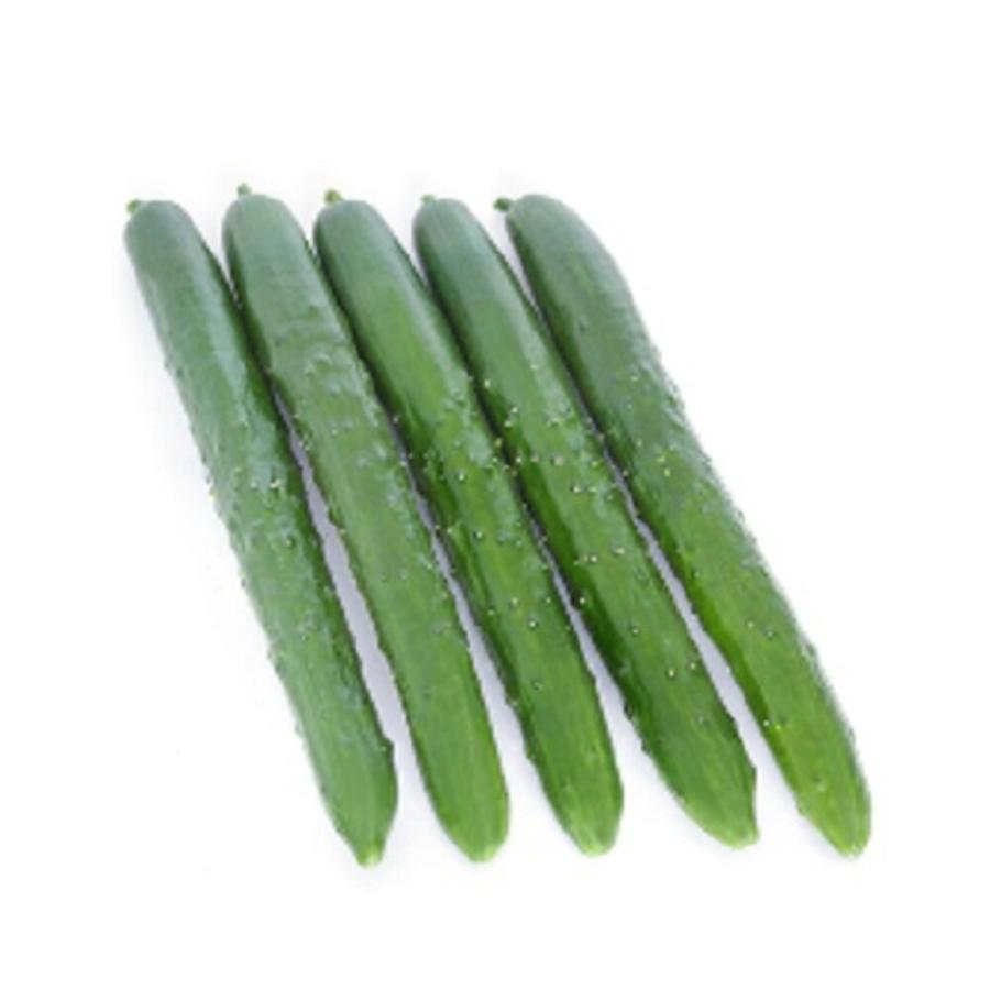 繁栄143 350粒 胡瓜 キュウリ きゅうり繁栄143 350粒【朝日アグリア 種 たね タネ 】【【通常5倍 5のつく日はポイント10倍】】 | 