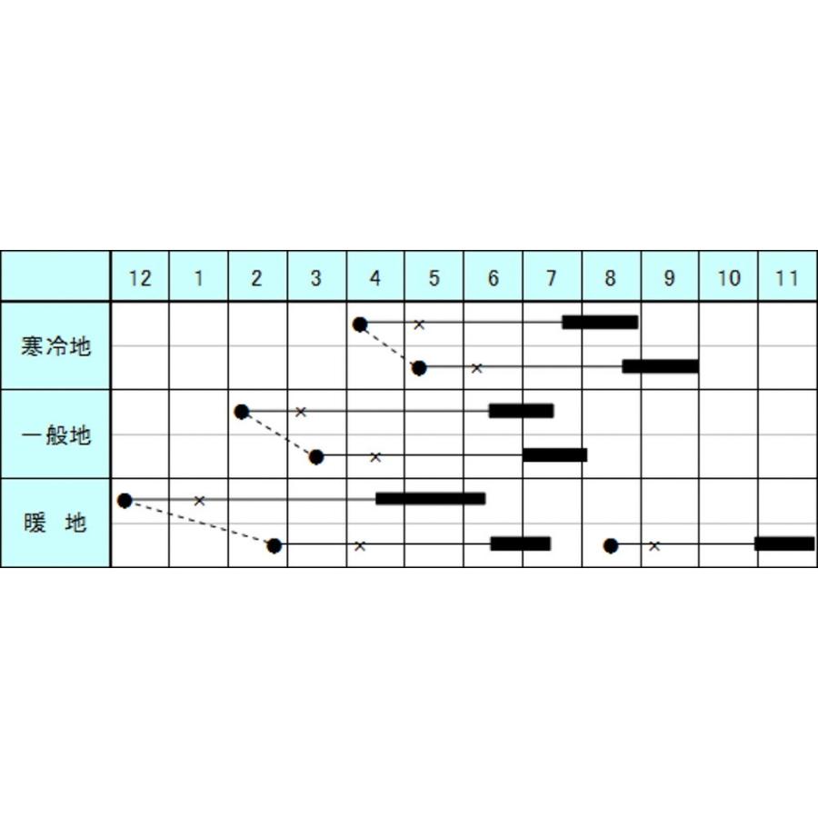 プリメラエース 500粒 南瓜 カボチャ かぼちゃ【朝日アグリア 種 たね タネ 】【【通常5倍 5のつく日はポイント10倍】】 |  | 01