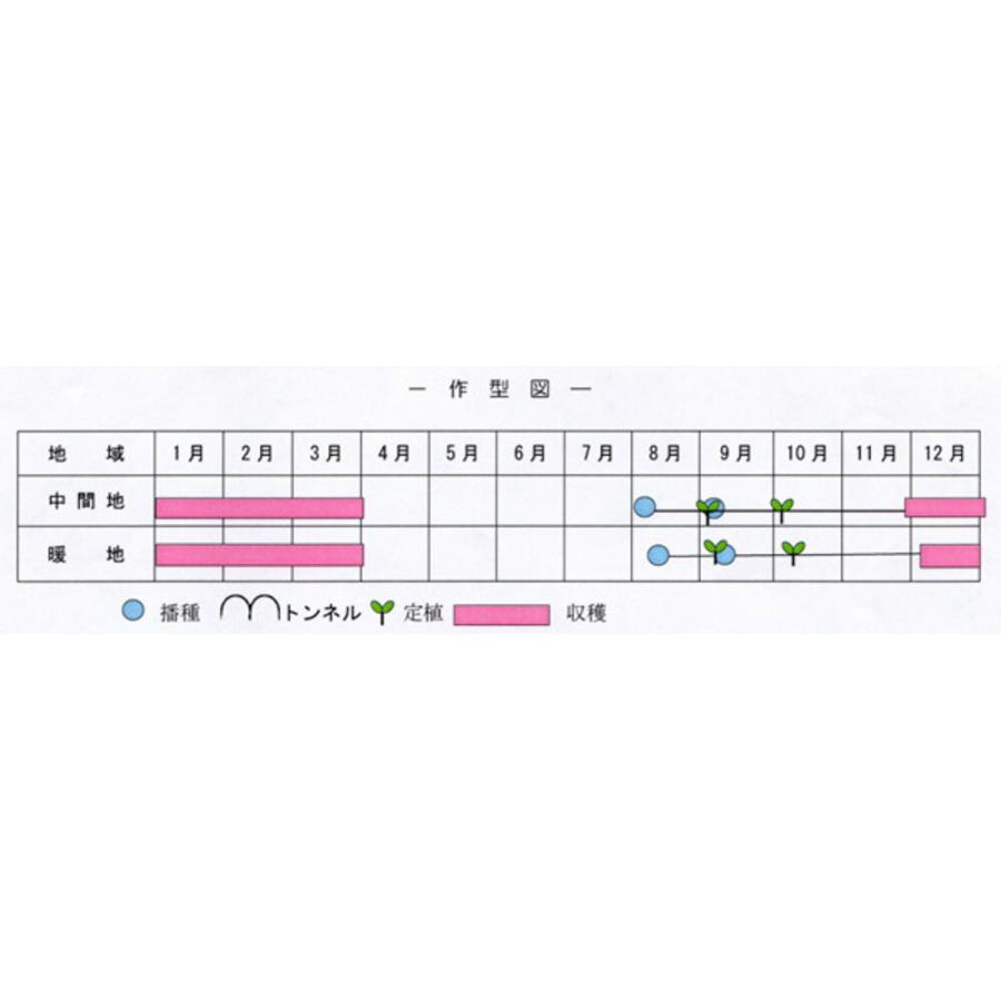 ルミナス BL-652 5000粒(Lコート) ブロッコリー 【ブロリード 種 たね