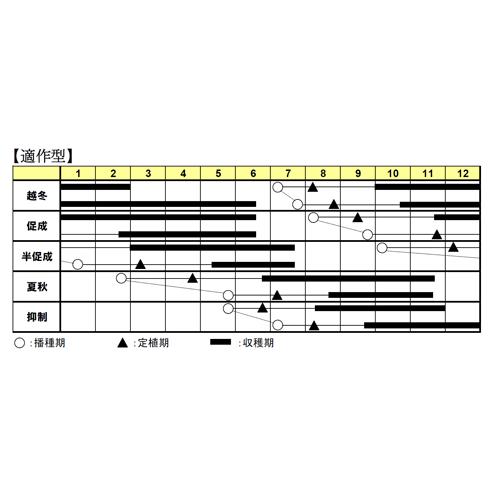 ランゼ(AS-376)　100粒 トマト とまと 蕃茄【朝日アグリア 種 たね タネ 】【通常5倍 5のつく日はポイント10倍】 |  | 02