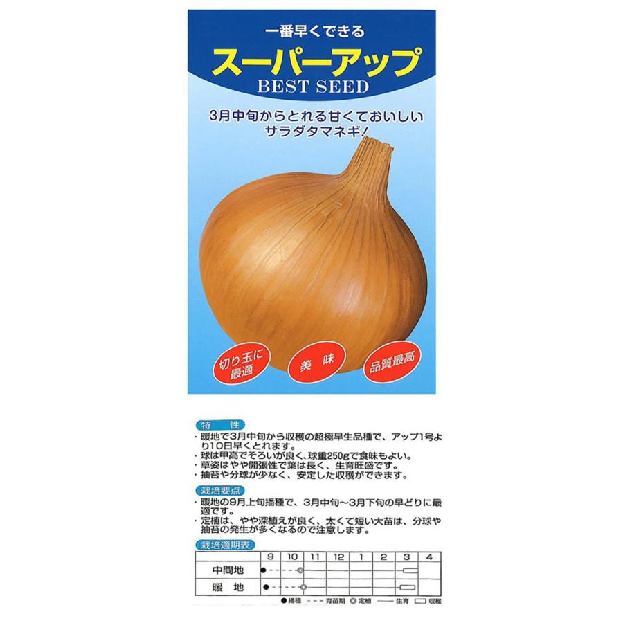 限定価格セール 今季品切れ アカヲ育成 スーパーアップ ml 玉ねぎ たまねぎ 玉葱 タマネギ アカヲ 種 たね タネ 通常ポイント7倍5の付く日は10倍 Whitesforracialequity Org