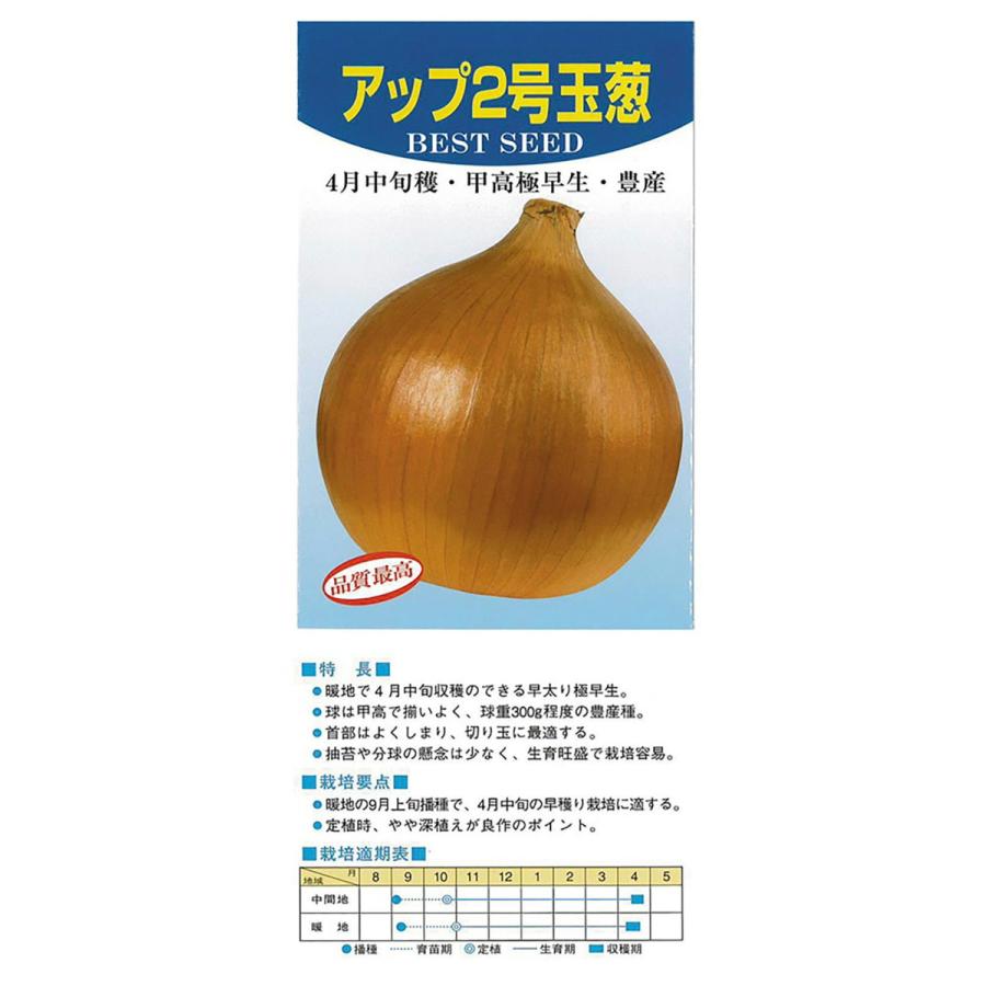 季節のおすすめ商品 貴錦 玉ねぎ種子 2dl 極早生種 カネコ種苗 fucoa.cl