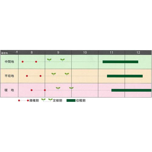 BL-456 5000粒(Lコート) ブロッコリー 【ブロリード 種 たね タネ 】【通常5倍 5のつく日はポイント10倍】 |  | 01