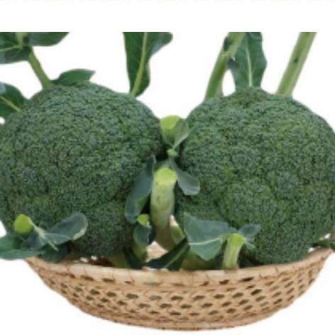 ルミナス BL-652 5000粒(Lコート) ブロッコリー 【ブロリード 種