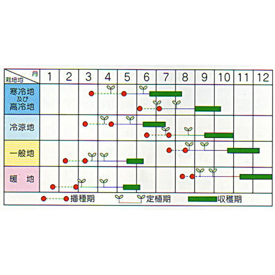 ブロッコリー 種 【 ベルスターコート 】 種子 5千粒 | 農業屋.com