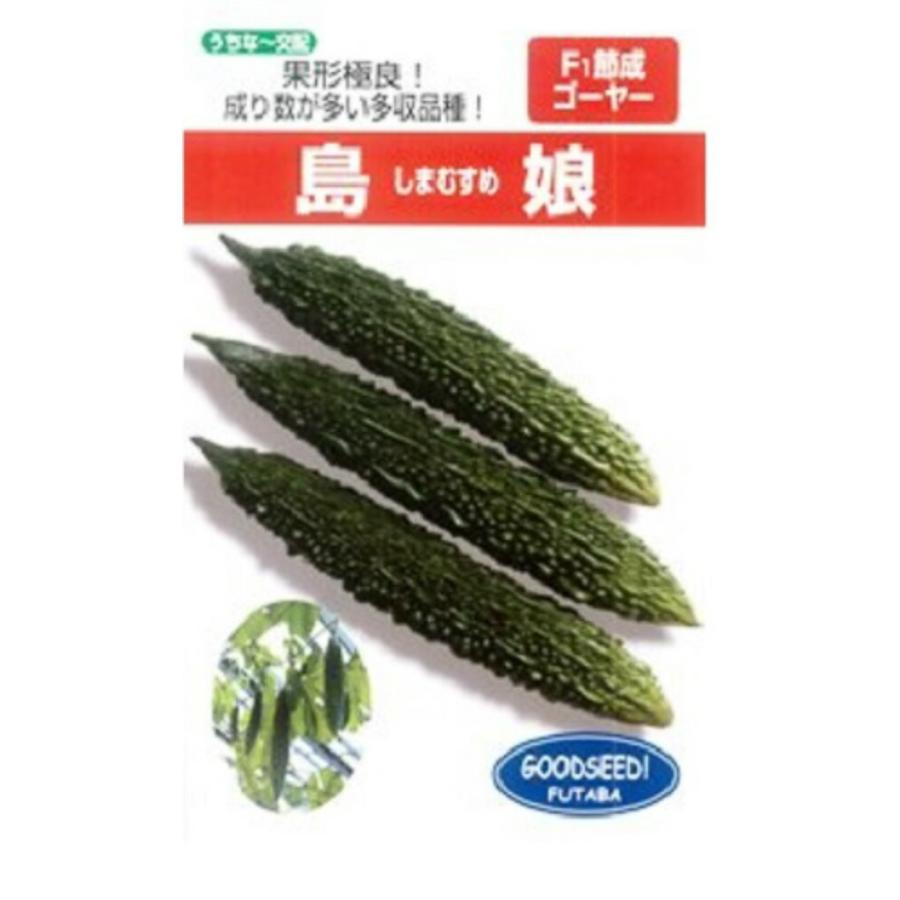 島娘 100粒 ニガウリ にがうり 苦瓜【フタバ 種 たね タネ】【通常5倍 5のつく日はポイント10倍】 | 