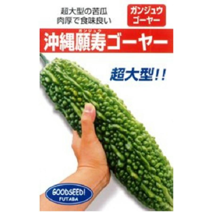 沖縄願寿ゴーヤー 1DL ニガウリ にがうり 苦瓜【フタバ 種 たね タネ】【通常5倍 5のつく日はポイント10倍】 | 