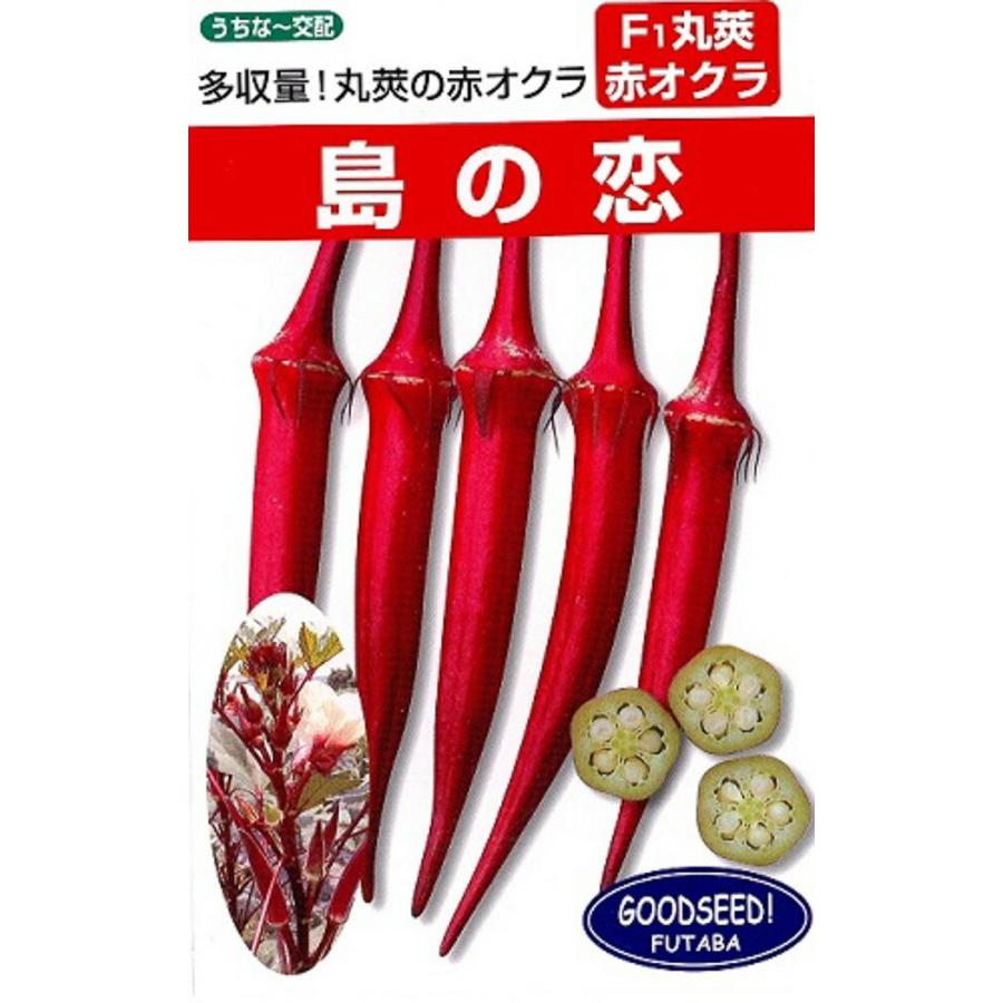 島の恋 1DL オクラ おくら 【フタバ 種 たね タネ】【通常5倍 5のつく日はポイント10倍】 | 