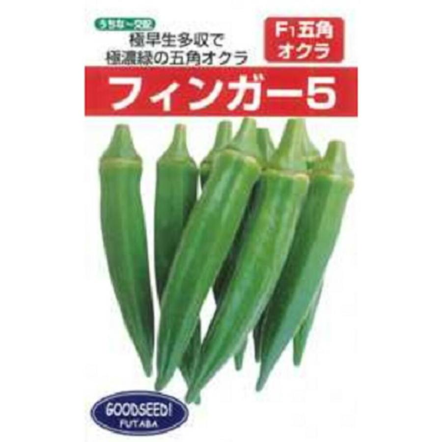 フィンガー5 1DL オクラ おくら 【フタバ 種 たね タネ】【通常5倍 5のつく日はポイント10倍】 | 