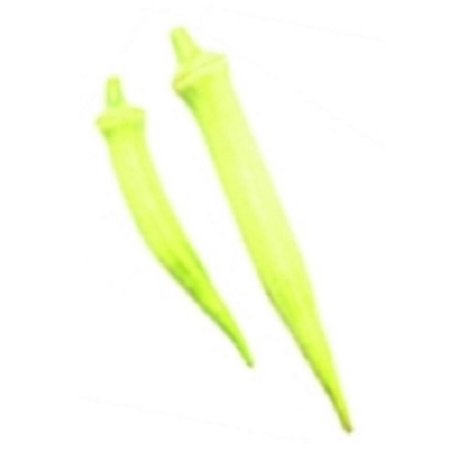 白ひすい 1DL オクラ おくら 【フタバ 種 たね タネ】【通常5倍 5のつく日はポイント10倍】 | 