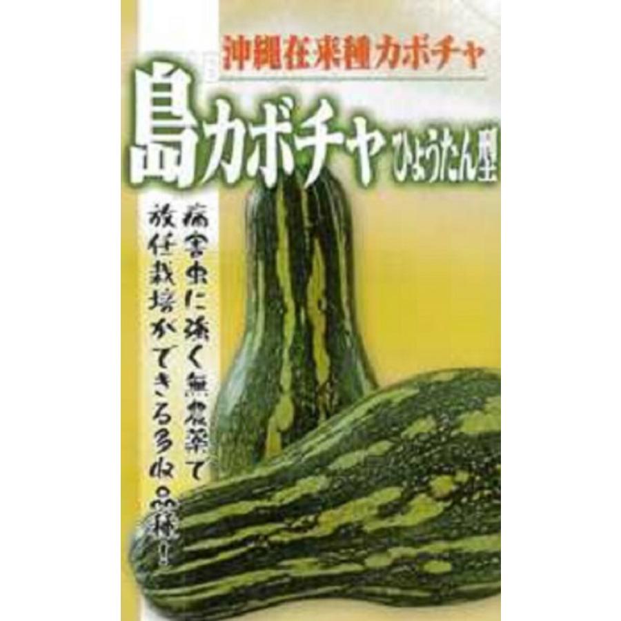 沖縄 島かぼちゃ (ひょうたん型) 1DL 南瓜 カボチャ かぼちゃ【フタバ 種 たね タネ】【通常5倍 5のつく日はポイント10倍】 | 