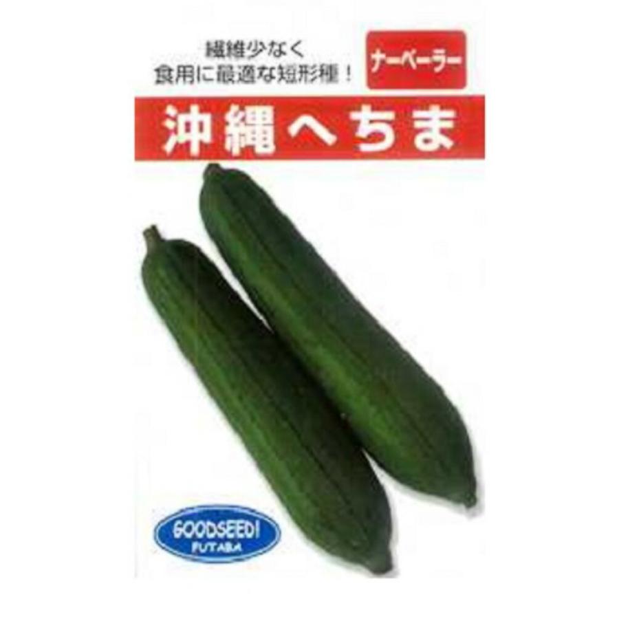 沖縄 短形へちま 1L ヘチマ へちま 糸瓜