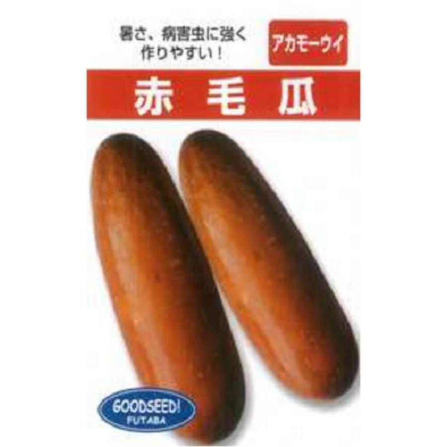 沖縄 赤毛瓜 1DL ウリ うり 瓜【フタバ 種 たね タネ】【通常5倍 5のつく日はポイント10倍】 | 