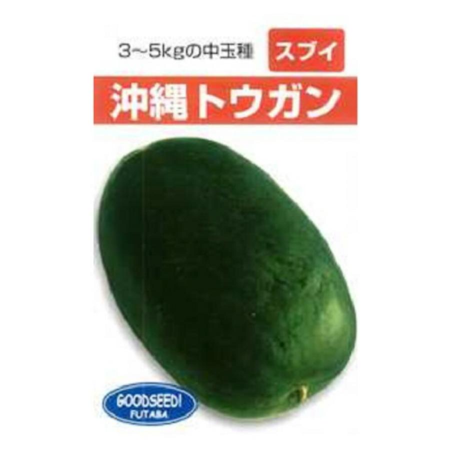 沖縄 冬瓜 1L ウリ うり 瓜【フタバ 種 たね タネ】【通常5倍 5のつく日はポイント10倍】 | 
