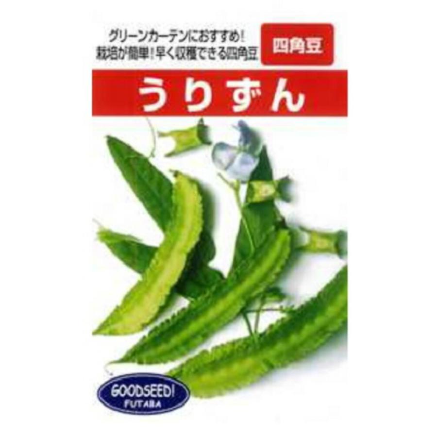 四角豆 うりずん 1dl 豆 マメ まめ 豆 マメ まめ【フタバ 種 たね タネ】【通常5倍 5のつく日はポイント10倍】 | 