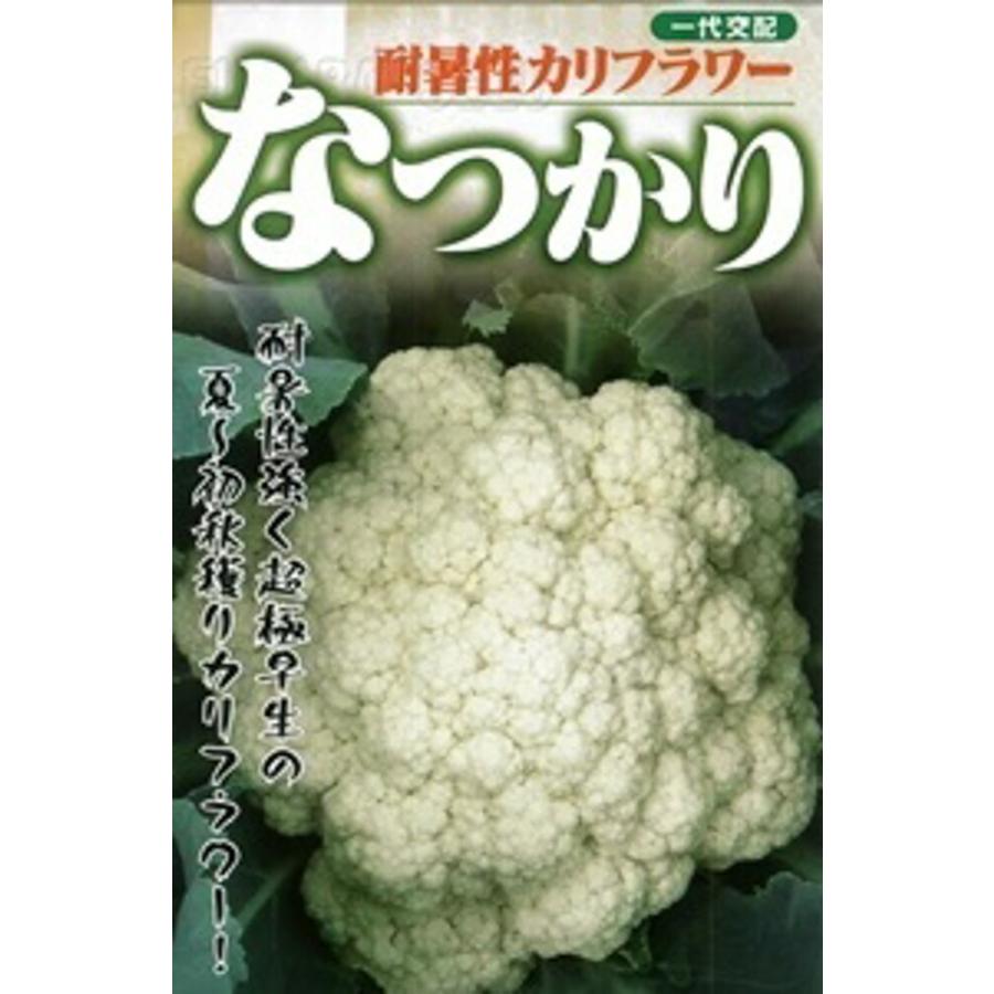 なつかり 20ml カリフラワー【フタバ 種 たね タネ】【通常5倍 5のつく日はポイント10倍】 | 