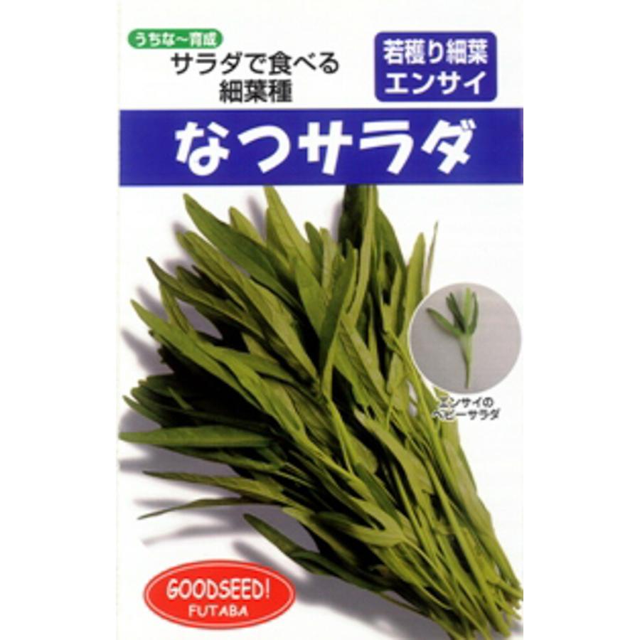 なつサラダ 1l エンサイ えんさい【フタバ 種 たね タネ】【通常5倍 5のつく日はポイント10倍】 | 