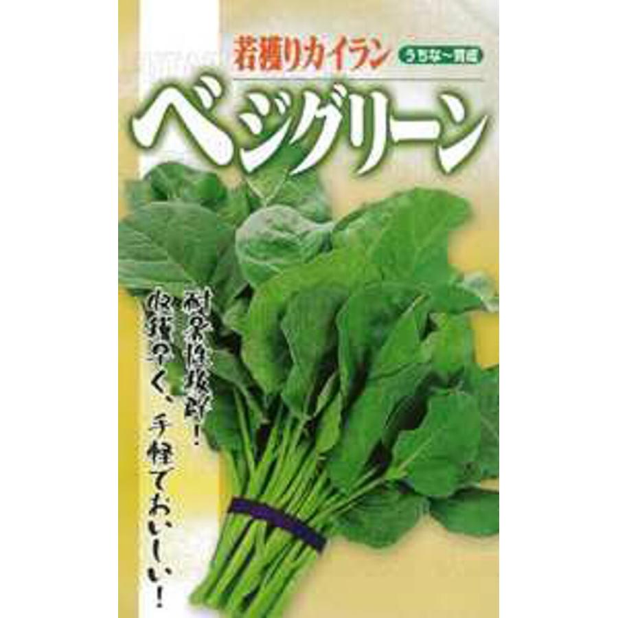 ベジグリーン 1l べジグリーン べじぐりーん【フタバ 種 たね タネ】【通常5倍 5のつく日はポイント10倍】 | 
