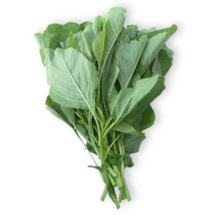 いろこい菜 1l いろこい菜 【フタバ 種 たね タネ】【通常5倍 5のつく日はポイント10倍】 | 